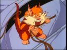 Snarf