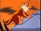 Snarf