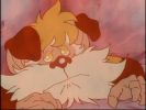 Snarf