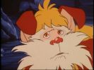 Snarf